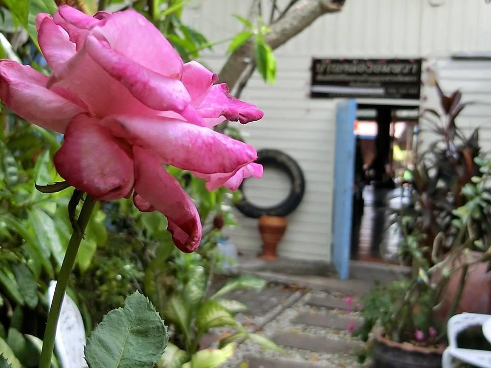 Baanklong Amphawa Homestay Экстерьер фото